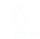 CAREC Information Portal